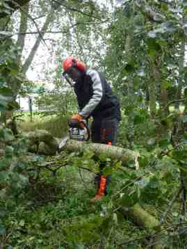 Clearing fallen trees on Fallowfield Loop