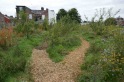 Chipping on orchard paths 1